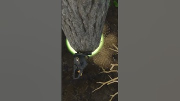 FS25 Tree Cutting Goes WILD! 🤯 | Extreme Logging in FarmingSim25 #shorts #fs25 #farmingsimulator25