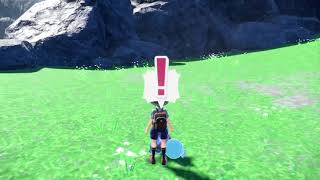Shiny Iron Bundle located!