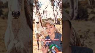 So shooting horses out of helicopters is okay now??? WTF Australia