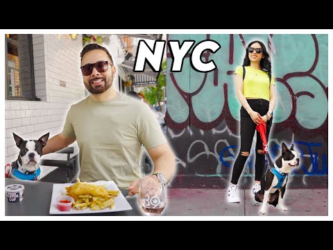 Things To Do In New York City With Your Dog – Pet Friendly Restaurants Nyc (4k)