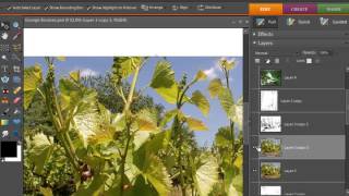Digital Scrapbooking Designer Tutorial: Making Grunge Brushes
