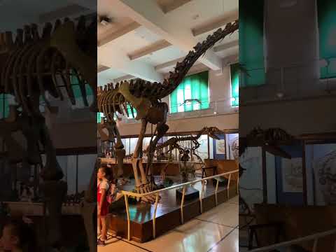 Video: Buenos Airesin parhaat museot