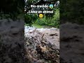 Ríos crecido en El Salvador 🇸🇻