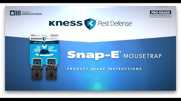 How to Set a Snap-E® Mousetrap