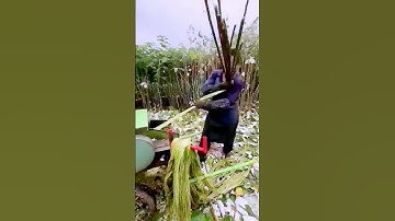 Machining process sharing = good machinery can improve efficiency