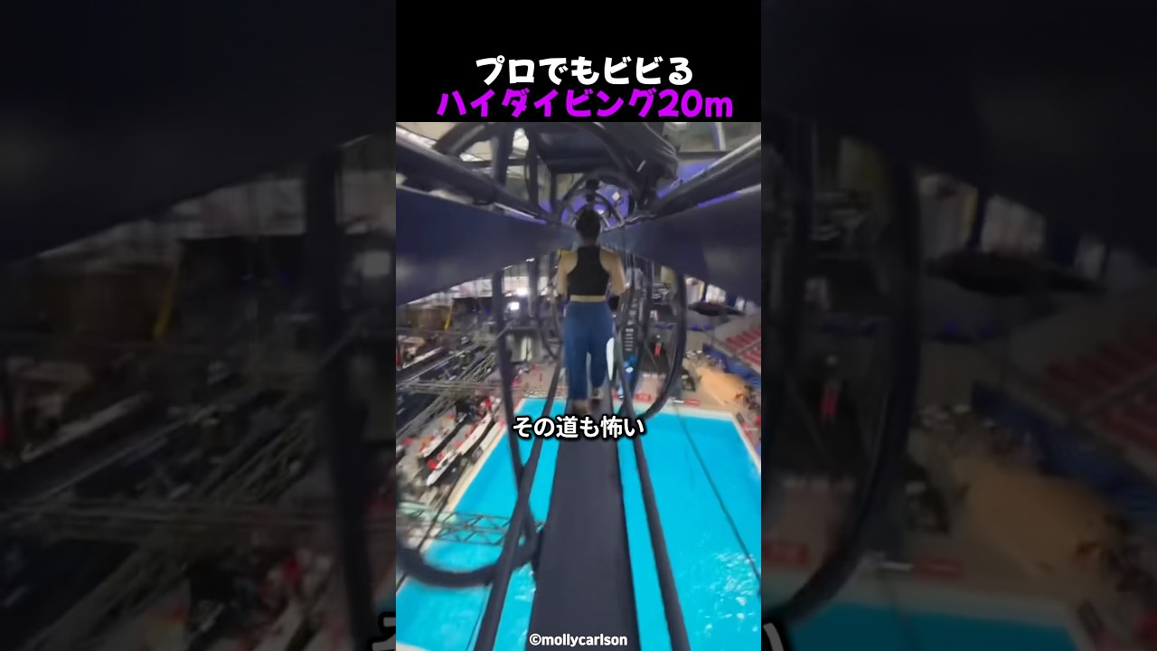 これ20メートルってマジ？