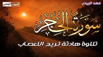 أرِح قلبك وطهِر مسمَعك قليلا, تلاوة هادئة تريح الاعصاب أجر لي ولكم❤صوت يذيب القلوب || فهد الزبيدي