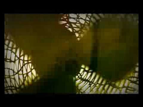 Aprilia RSV4 Official Video naked whey