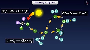 Ozone Layer Depletion | Part 1/1 | English | Class 10