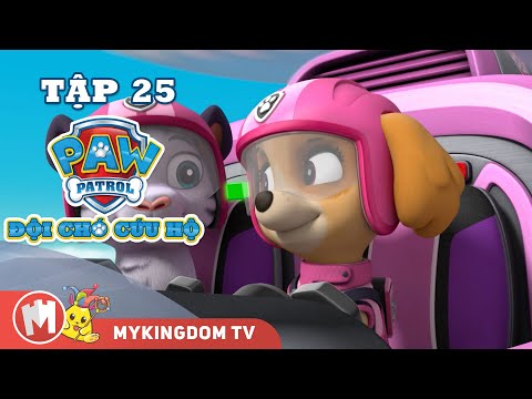 ĐỘI CHÓ CỨU HỘ PAW PATROL MINI | Tập 25: Giải Cứu Mẹ Con Cọp Trắng | Phim hoạt hình