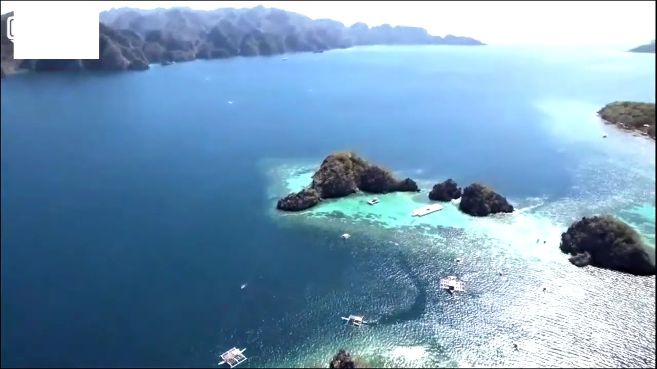 🌴 Summer Dance Lounge Live 🌅 | Chill & Deep House Music | Relax, Travel & Good Vibes