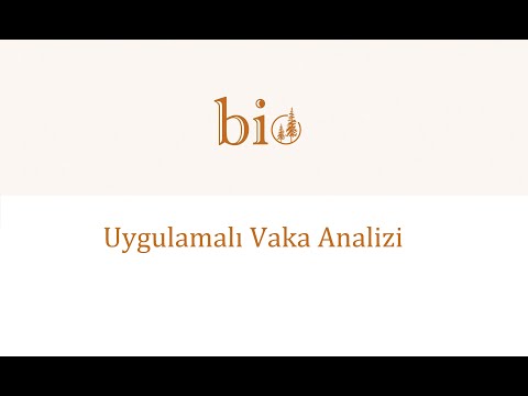 Video: Bir iş vaka çalışmasını nasıl yapılandırırsınız?