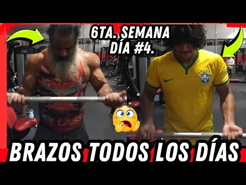Brazos TODOS LOS DÍAS + Semana 6ta. Día #4 + Isquiosurales.
