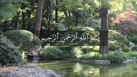 سورة الرحمن بأداء مميز | القارئ محمد الصحاف