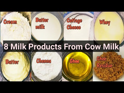 8 Milk Products From Cow Milk || How to make 8 Different Milk Products Using of Cow