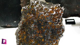 Meteoritos Por Eduardo Jawerbaum | Mega Coleccionistas | Foro de Minerales