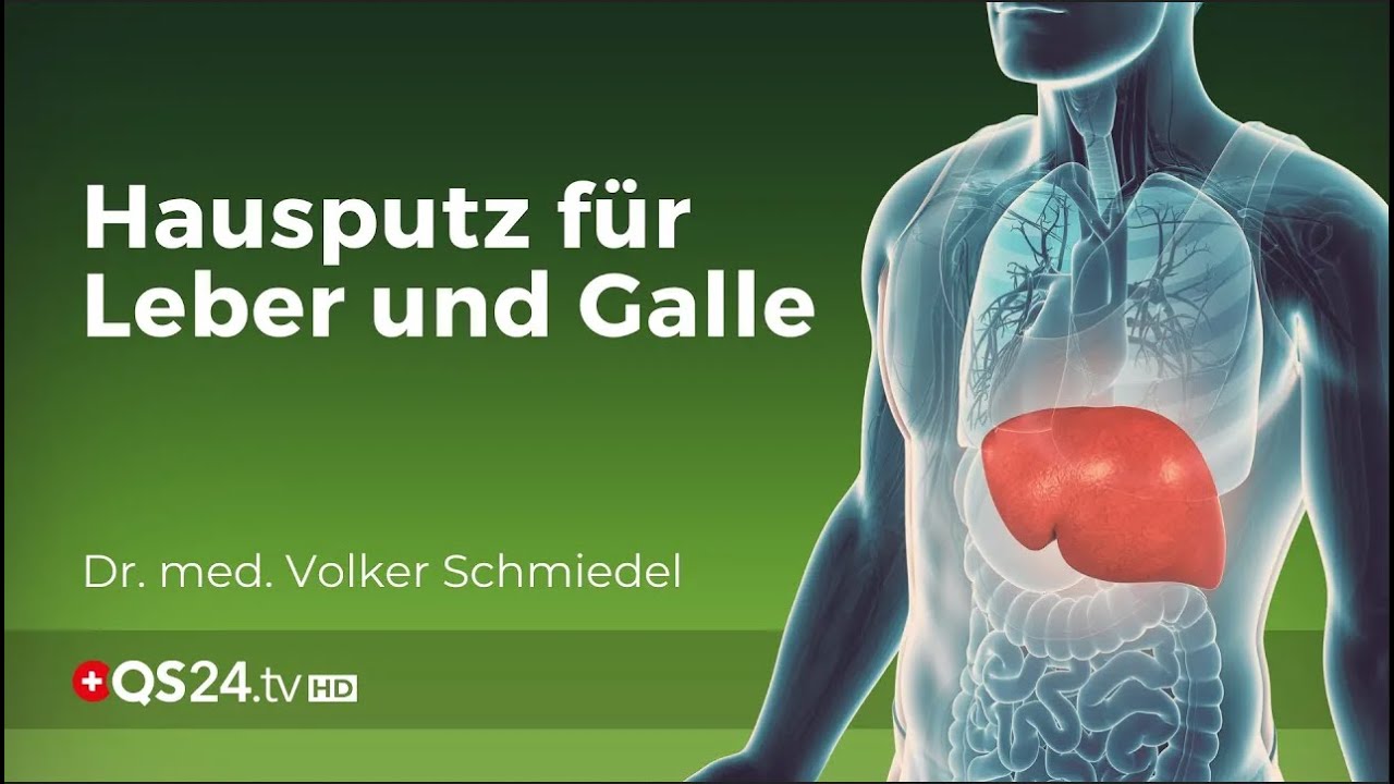 Welcher Arzt Für Galle Und Leber www.youtube.com