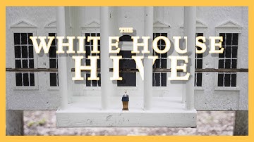 The White House Hive