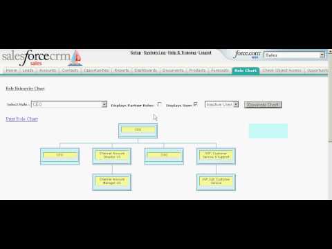 role chart salesforce com youtube salesforce org chart builder