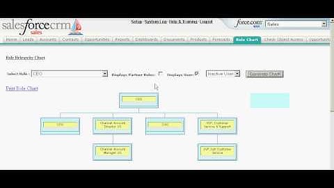 Role Chart - Salesforce.com