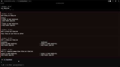 25 11 15, 인프라 기초, Bash 명령어, 30강, `diff` (파일 비교)