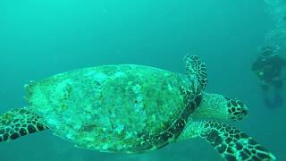 Club Med Kani Maldives