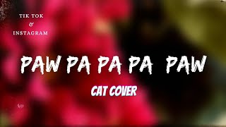 Paw Pa Pa Pa Pow Song (Gyurz)Cat Cover x Instrumental Full Song [Tik Tok & Reels]