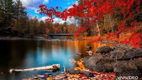 ما تيسر من سورة الأنعام ( قل تعالوا أتل ما حرم ربكم عليكم )