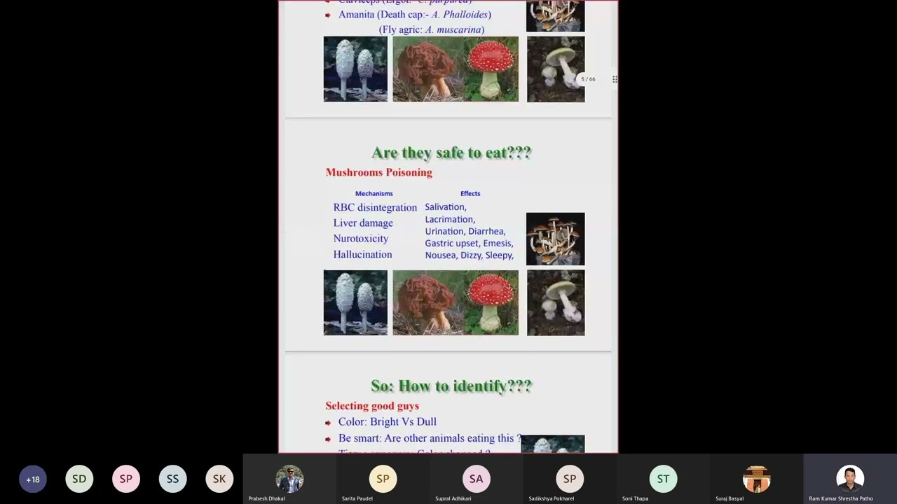 Mushroom and its cultivation | Poisonous and Edible Mushrooms | Importance of Mushrooms 