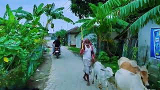 তলতল ভতরর রসত