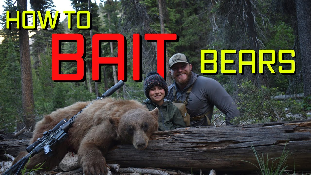 Bear Baiting! Bear Hunting Tips and Tricks [Hunt365] 