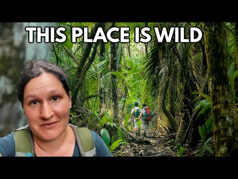 We hike CORCOVADO National Park, Costa Rica | Most biodiverse place on Earth