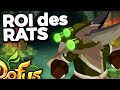 Le Maître des RATS de DOFUS sur l