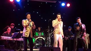 Can't Help Falling In Love   - Greg 'Elvis In Vegas  Miller , Ted Torres,Gino Monopoli -