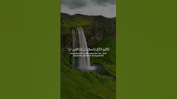 آيات بينات من الذكر الحكيم بصوت رائع وجميل ❤ #القرآن_الكريم #اكسبلور #المصحف #المغرب