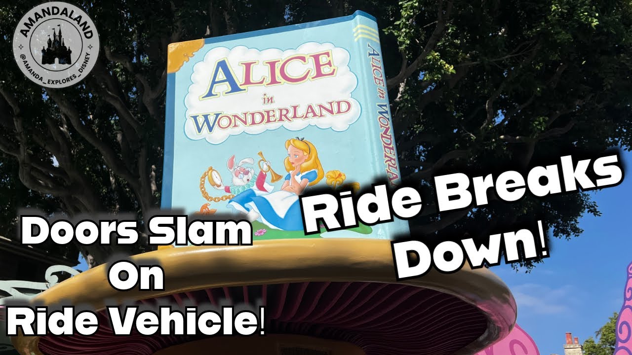 Ride Malfunction ~ Slammed by Doors on Alice in Wonderland ~ Disneyland ~ Fail