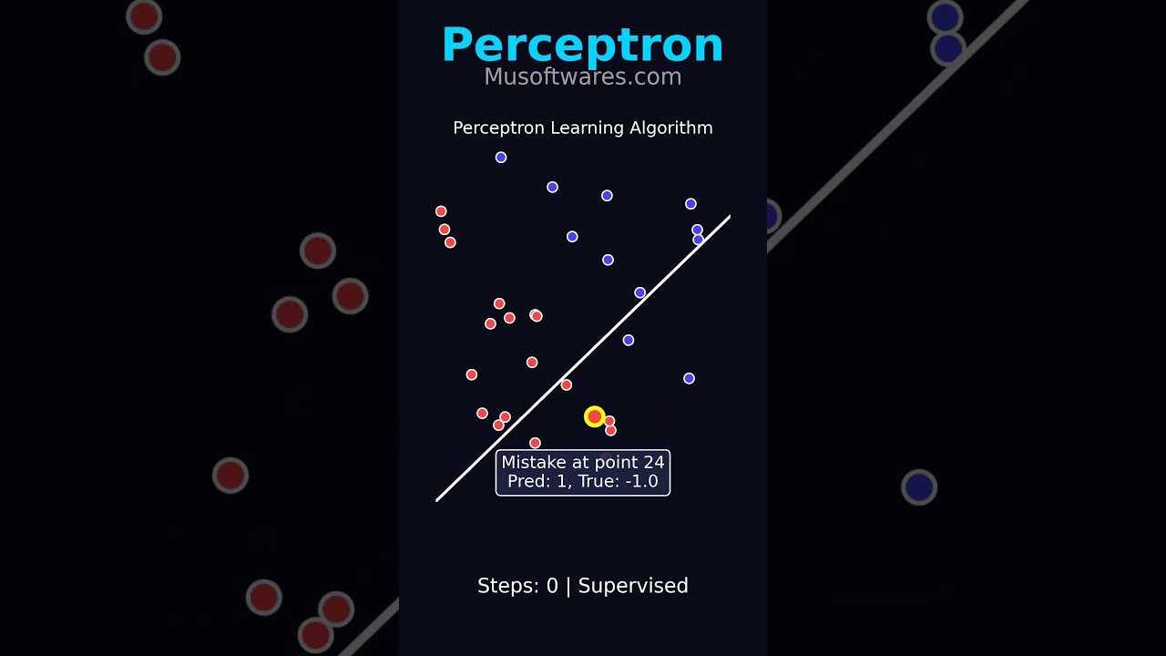 perceptron test