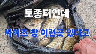 아침장에 주목하라