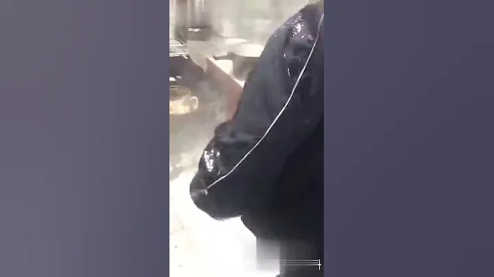 迷因合輯---壓力鍋爆炸 - 天天要聞