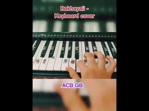 Bekhayali - Keyboard cover