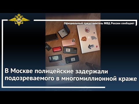 Ирина Волк: В Москве полицейские задержали подозреваемого в многомиллионной краже