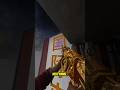 THE TRUTH ABOUT THE PRE PATCH SLIQUIFIER ЁЯШ THE TRUTH ABOUT THE PRE PATCH SLIQUIFIER ЁЯШ