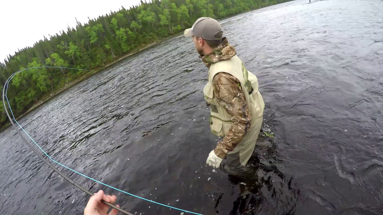 Humber River Atlantic Salmon Fishing 2018