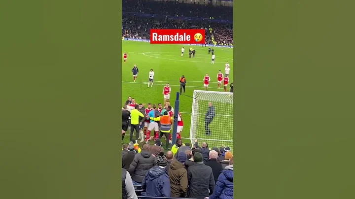 Aaron Ramsdale got kick by spurs Supporter 😥 - DayDayNews
