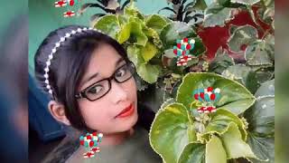 /storage/emulated/0/Photo Slideshow - Opals Apps/Slideshow/Photoslideshow-201120-060922.mp4