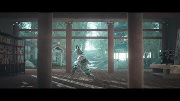 My Final Submission for the @pwnisher