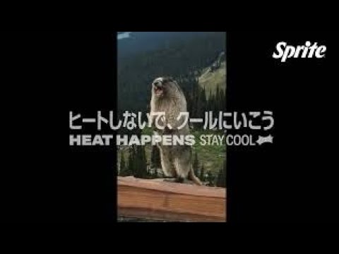 コカ コーラからスプライト フェスの行列 篇が配信