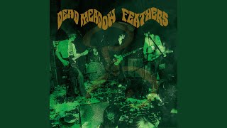 Video thumbnail of "Dead Meadow - Bonus Track"