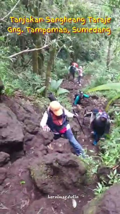 Tektok gng.Tampomas #gunungtampomas #pendakiwanita #penjelajahanalam #tanjakanextreme #ujinyali