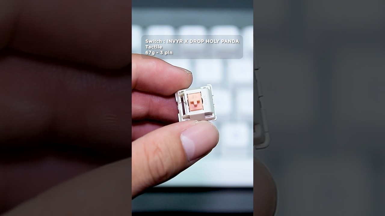 Drop Holy Panda tactile switch 